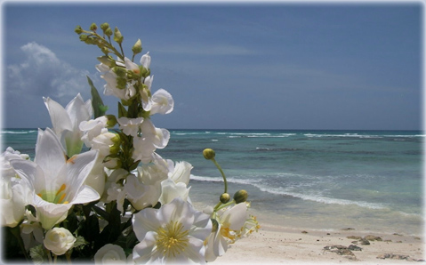 Isla Escape Mexico