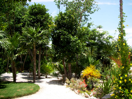 Isla Escape - Mexico