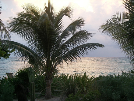 Isla Escape - Mexico