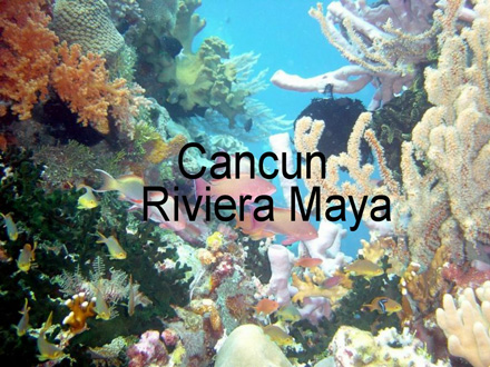 Isla Escape - Riviera Maya - Mexico