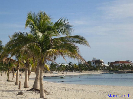 Isla Escape - Riviera Maya - Mexico