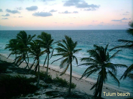 Isla Escape - Riviera Maya - Mexico