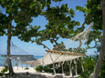 Isla Escape Mexico