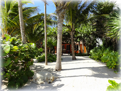 Isla Escape Mexico